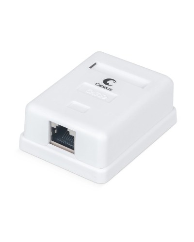 WS-8P8C-Cat.5e-SH-1 (7485c): Розетка RJ-45 в Севастополе