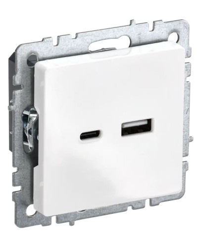 Розетка USB A+C 18Вт РЮ11-1-БрБ белый BRITE (BR-U22-018-K01). Розетка USB. IEK в Севастополе