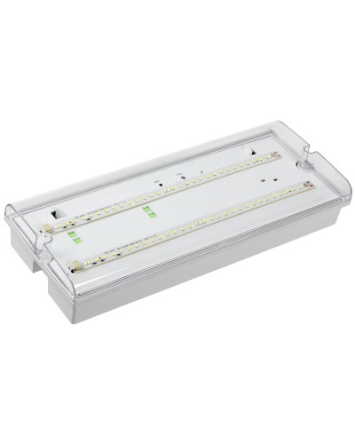 Светильник аварийный ДПА 5042-1 1ч IP65 LIGHTING (LDPA0-5042-1-65-K01). Светильник аварийный универсальный. IEK в Севастополе