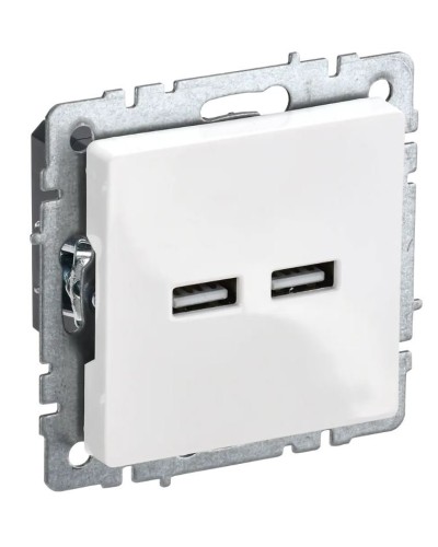 Розетка USB A+A 3,1А РЮ10-1-БрБ белый BRITE (BR-U21-D31-K01). Розетка USB. IEK в Севастополе