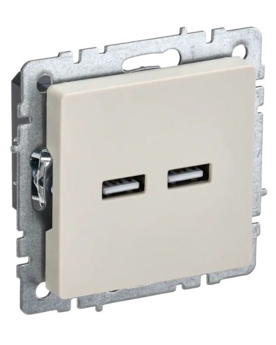 Розетка USB A+A 3,1А РЮ10-1-БрКр бежевый BRITE (BR-U21-D31-K10). Розетка USB. IEK в Севастополе