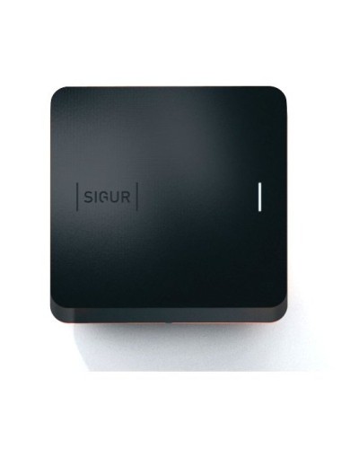 Sigur MR100 Multi. Считыватель. SIGUR в Севастополе